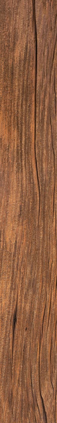 Modelo_de_inversion_textura_03